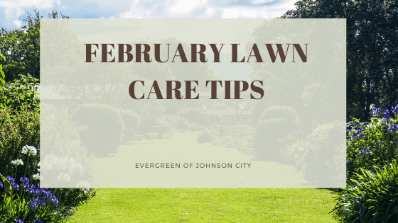 February Lawn Tips