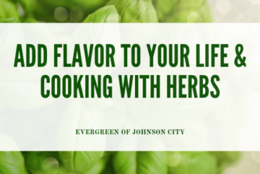 Add Flavor to Your Life and Your Cooking with Herbs