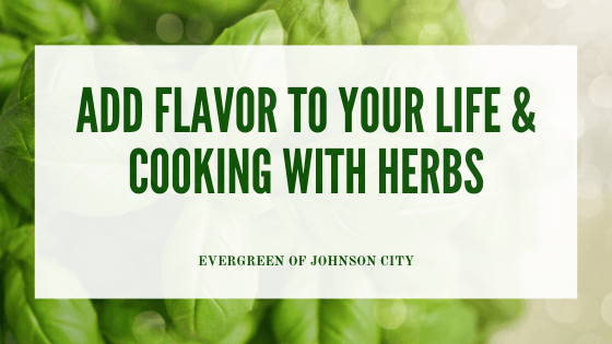 Add Flavor to Your Life and Your Cooking with Herbs