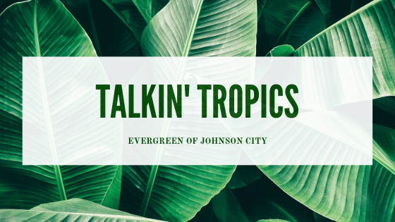 Talkin’ Tropics
