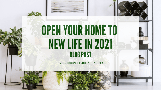 Open Your Home to New Life in 2021