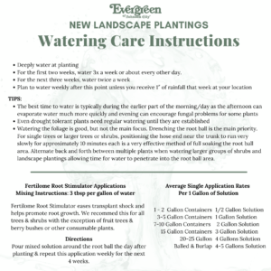 Watering Instructions