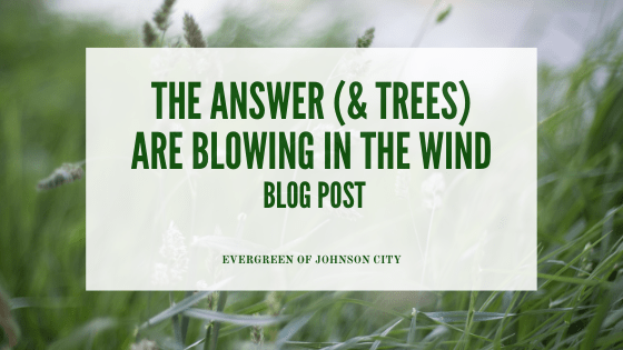 The Answer (& The Trees) Are Blowin’ In the Wind!