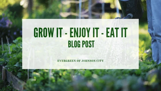 Grow It – Enjoy It – Eat It (All from Home)