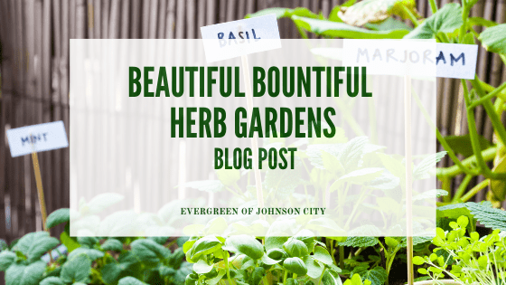 Beautiful Bountiful Herb Gardens