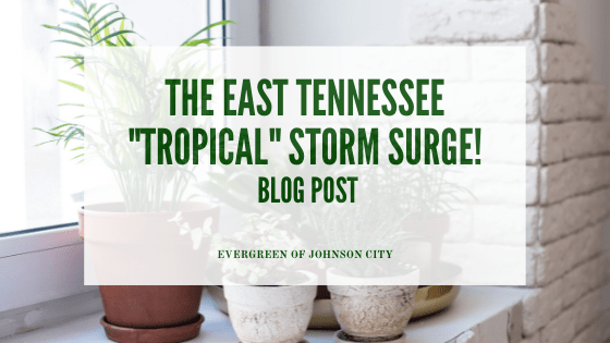 The East Tennessee “Tropical” Storm Surge!