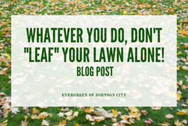 Whatever You Do, Don’t “Leaf” Your Lawn Alone!