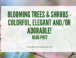 Blooming Trees & Shrubs – Colorful, Elegant and/or Adorable!