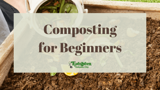 Composting For Beginners
