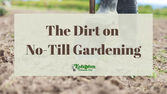 The Dirt on No-Till Gardening