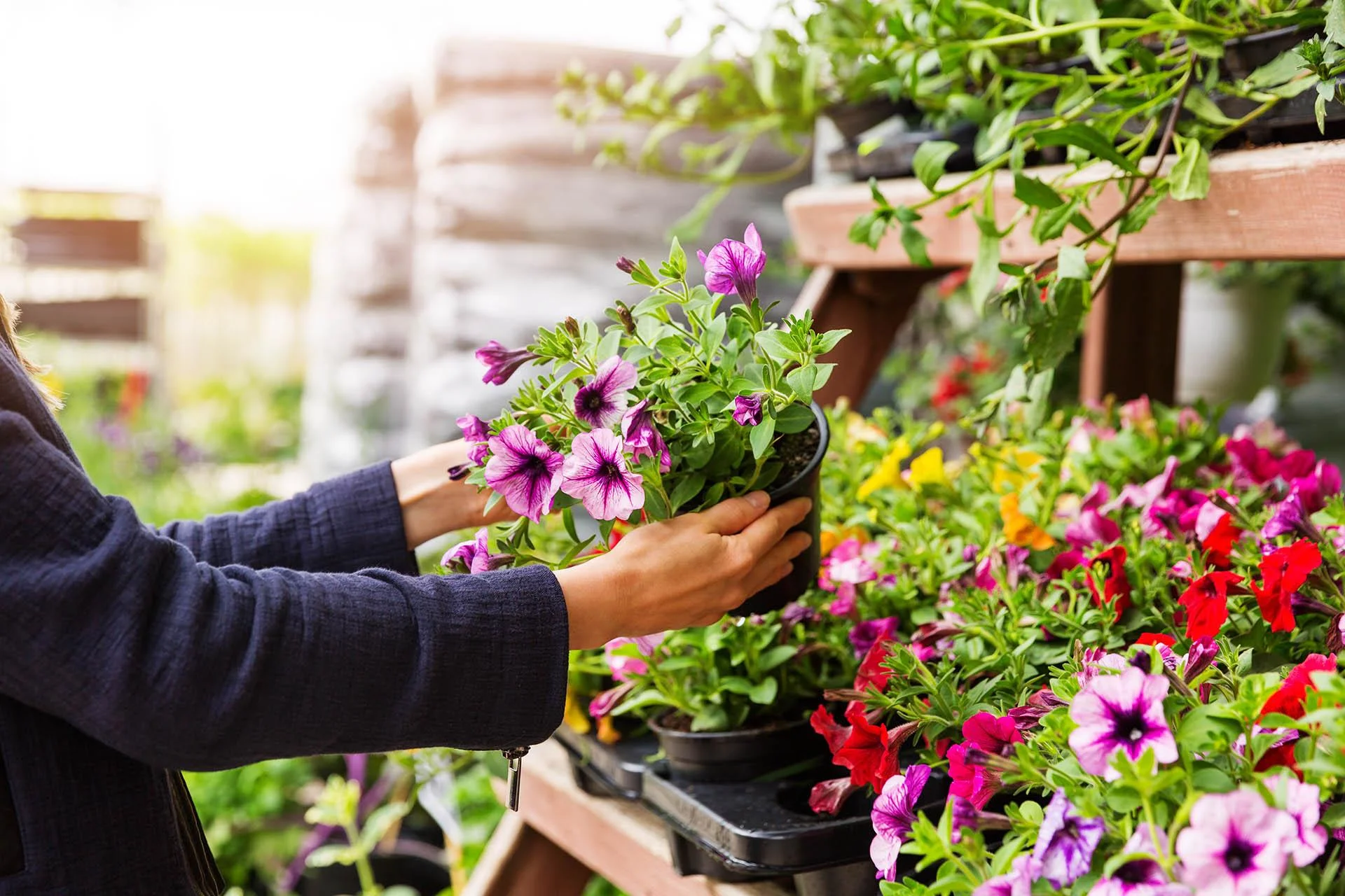 Find the best garden supplies