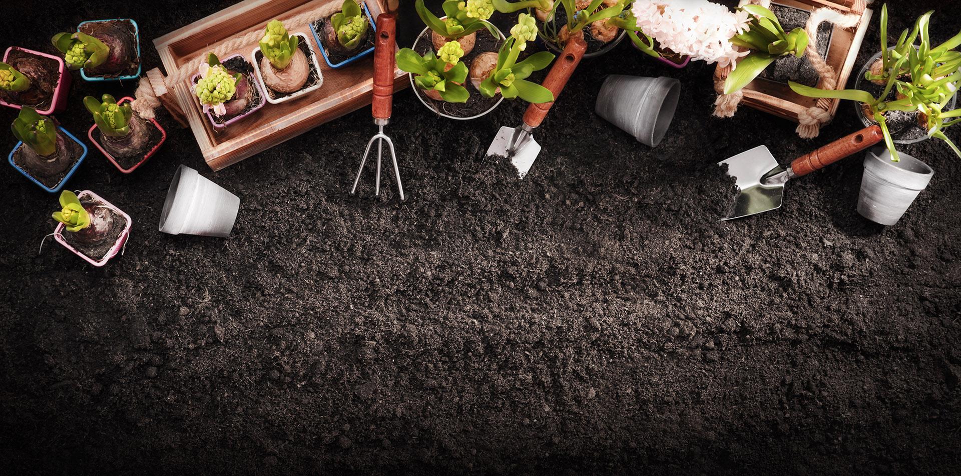 Gardening tools and plants on fertile soil.