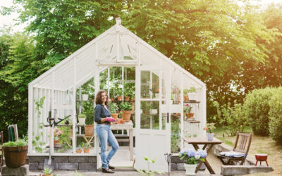 Greenhouse Gardening for Beginners: A Complete Guide and Tips