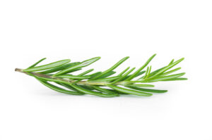Rosemary