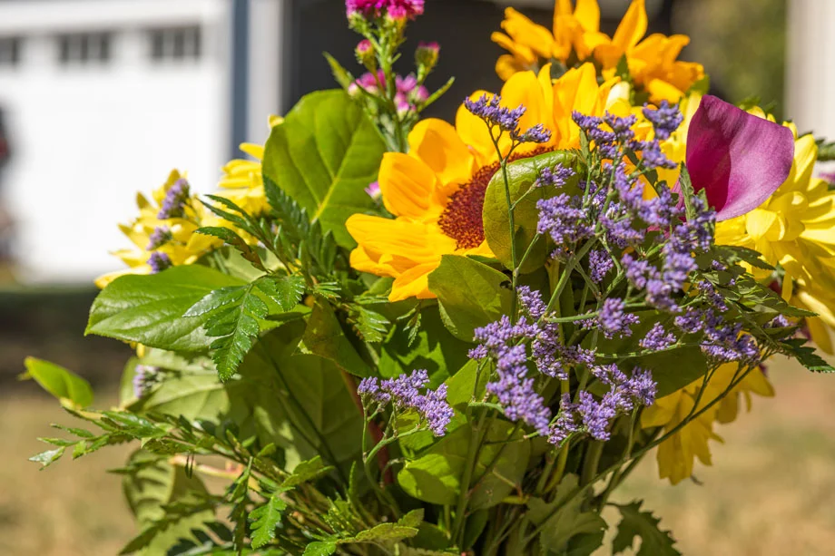 The benefits of perennials