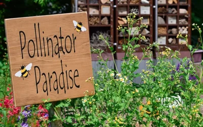 How Your Local Garden Center Supports Pollinator Conservation