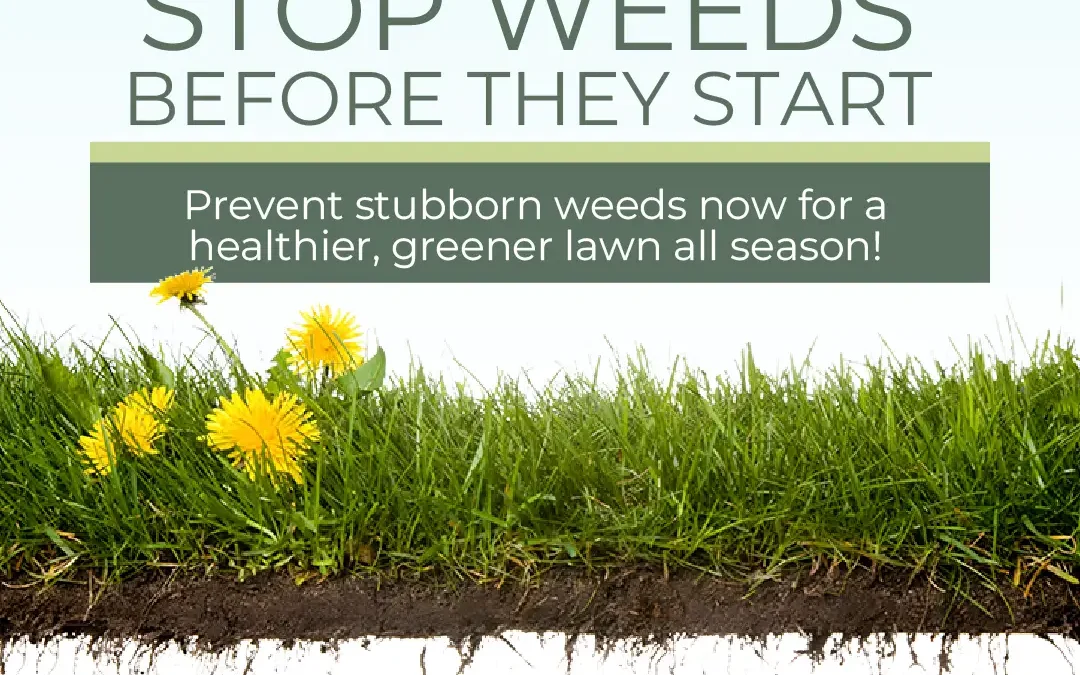 Stop Weeds Before They Start