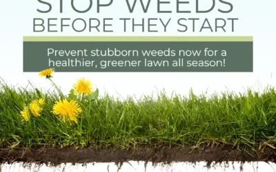 Stop Weeds Before They Start