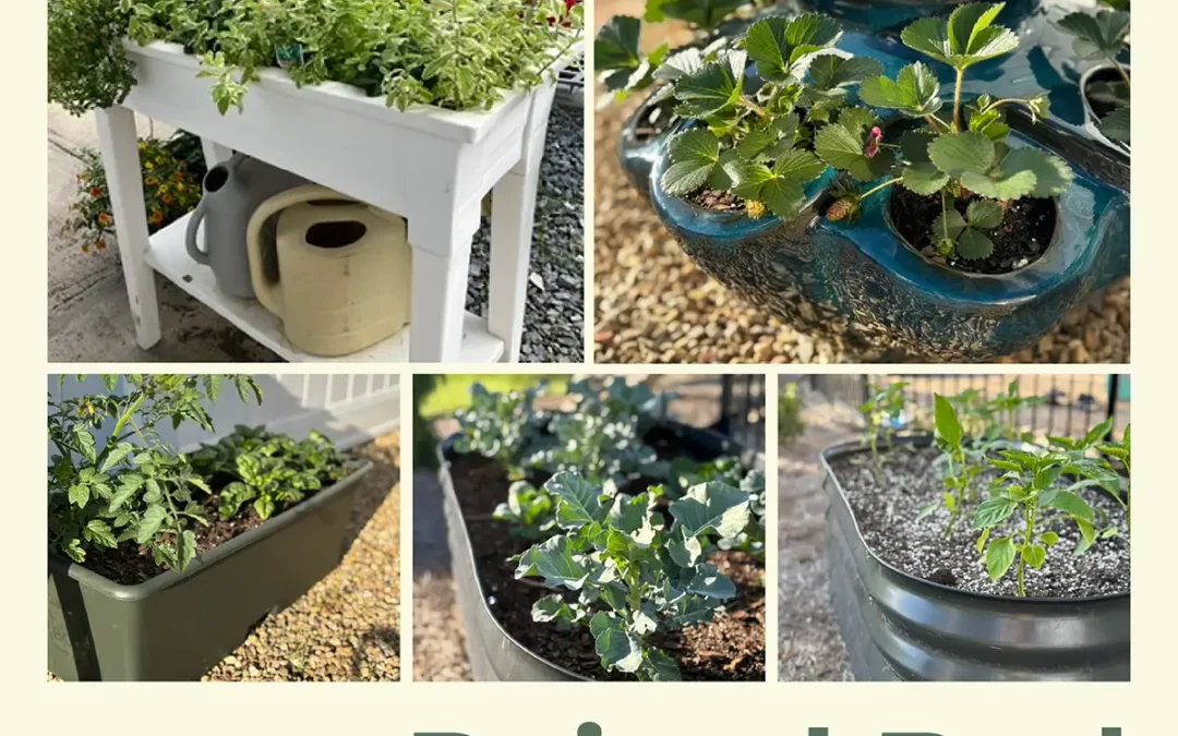 Considering Raised Bed Gardening?