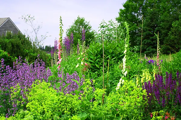 Design a Garden that Thrives with Your Environment at Evergreen of Johnson City