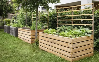How to Plan Garden Design Services for Your Micro-Climate