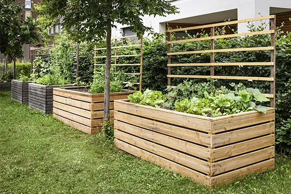 How to Plan Garden Design Services for Your Micro-Climate