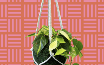 Kokedama Macrame Planter Workshop