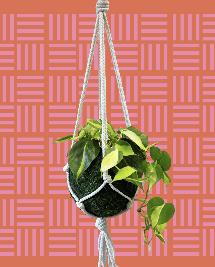 kokedama macrame planter