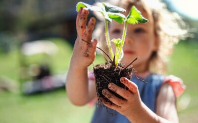 Little Gardener Wednesdays – 7/29/26