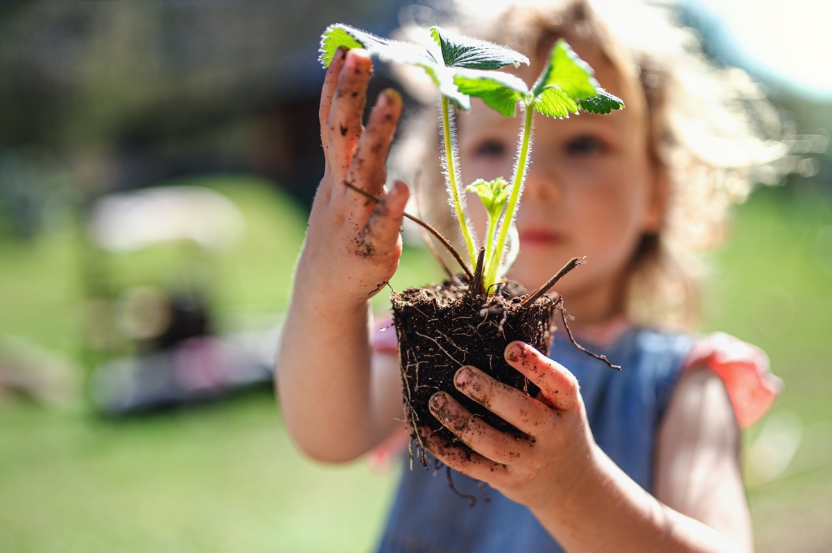little gardener